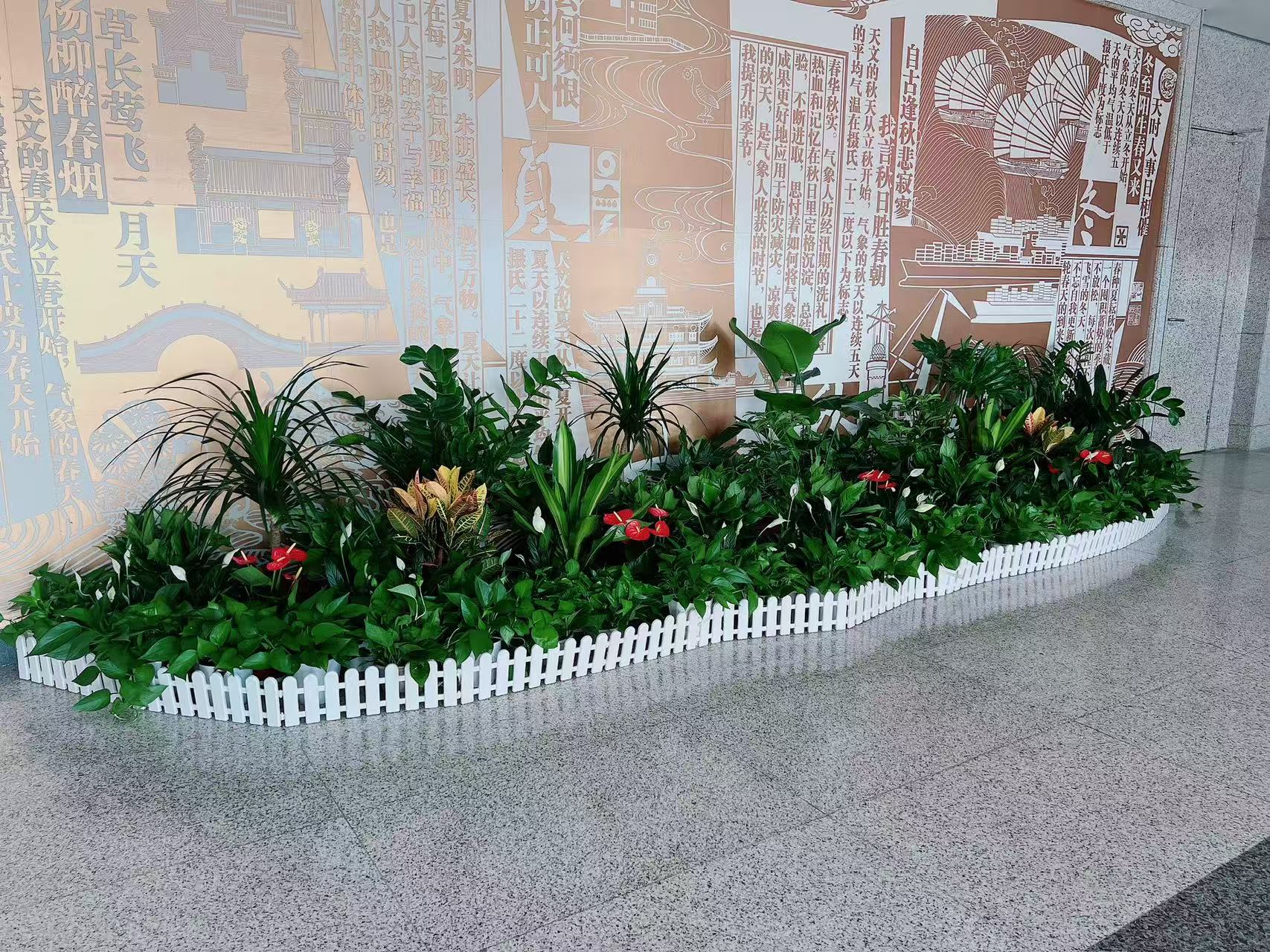 镇海植物租摆价格